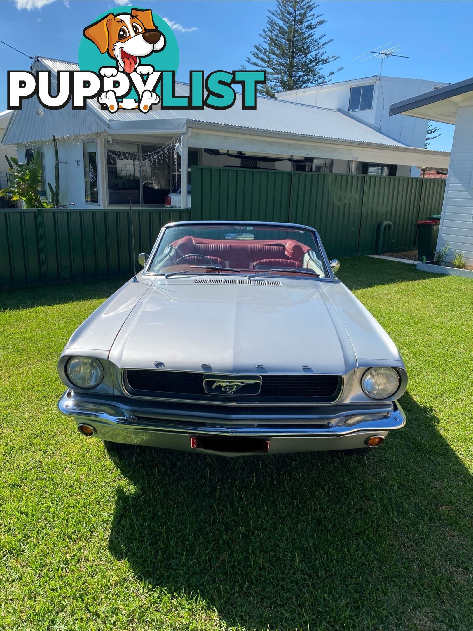 1966 Ford Mustang Convertible Manual