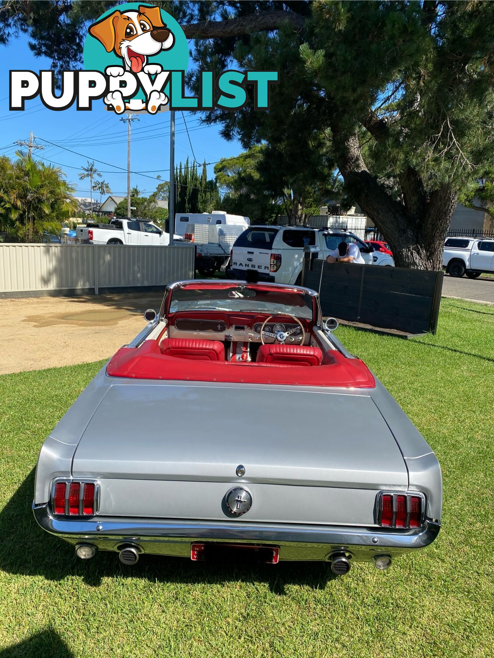 1966 Ford Mustang Convertible Manual