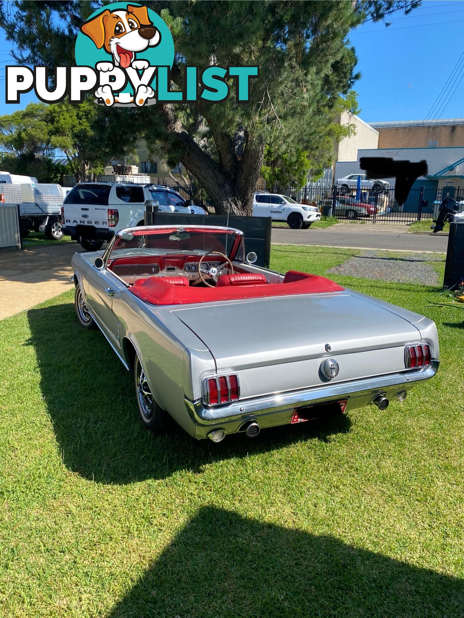 1966 Ford Mustang Convertible Manual