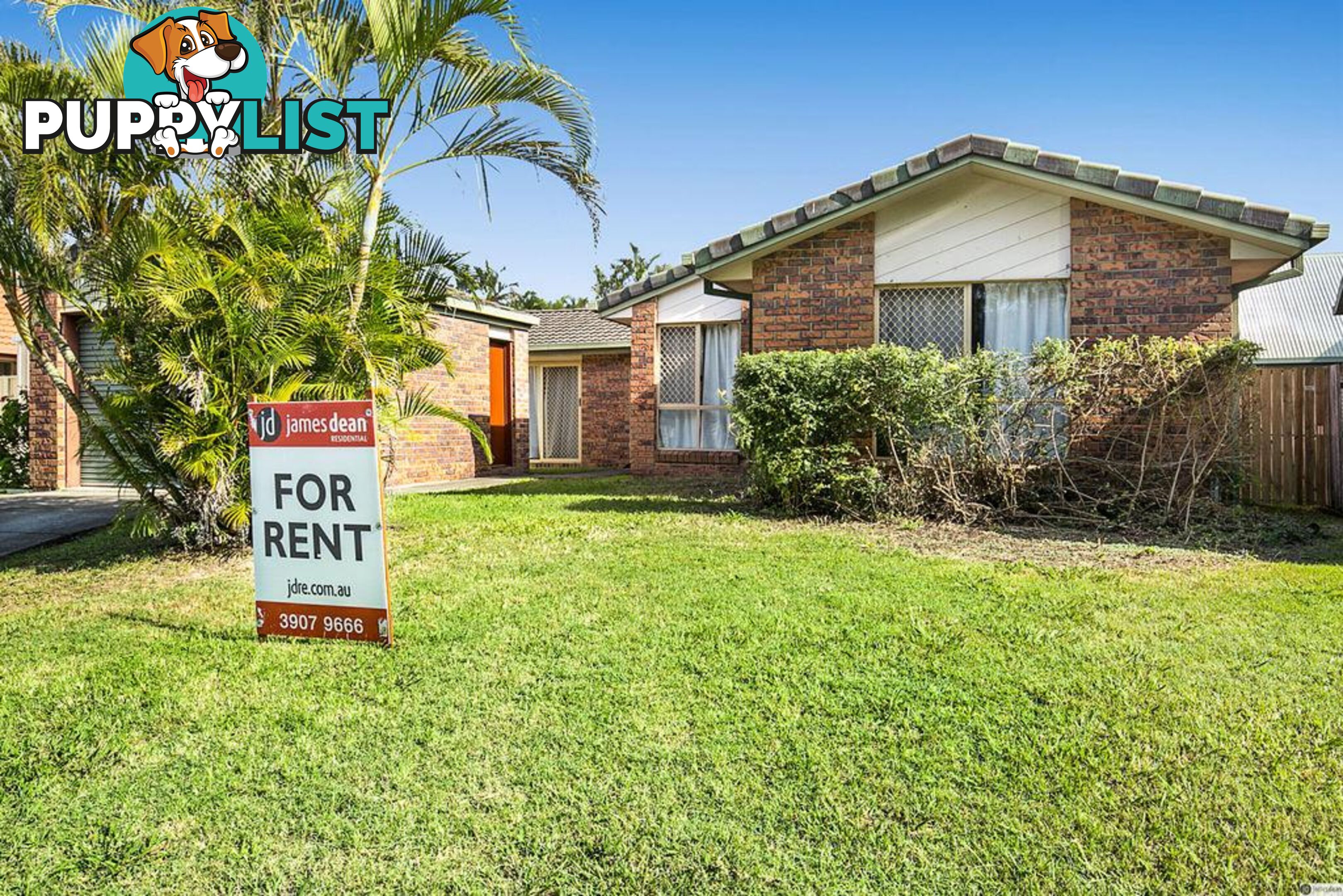 82 Monterey Circuit Tingalpa qld 4173