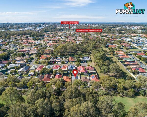 113 Torquay Crescent Tingalpa qld 4173