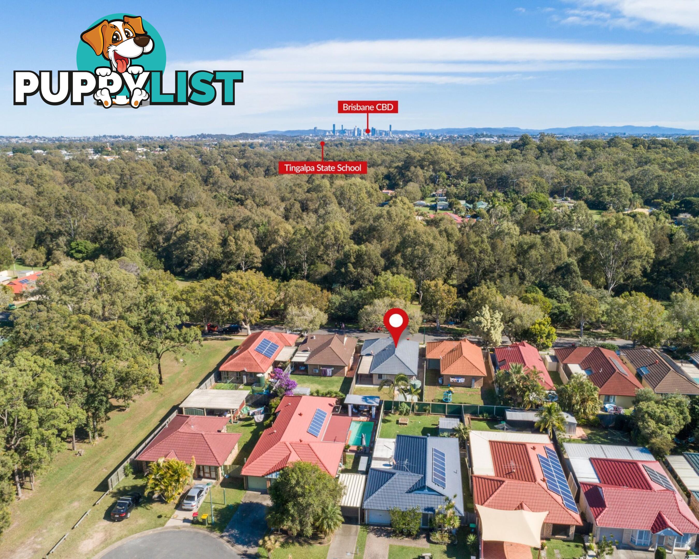 113 Torquay Crescent Tingalpa qld 4173