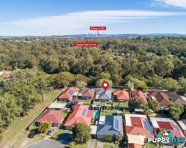 113 Torquay Crescent Tingalpa qld 4173