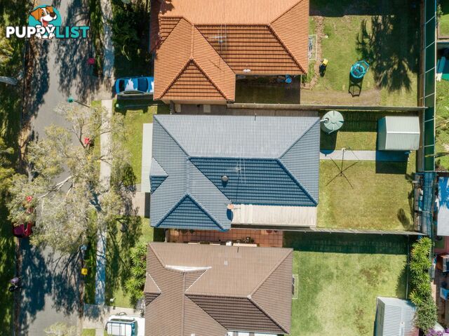 113 Torquay Crescent Tingalpa qld 4173