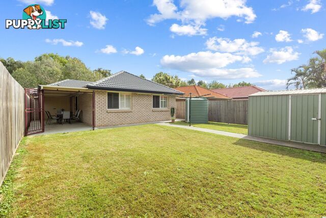 113 Torquay Crescent Tingalpa qld 4173