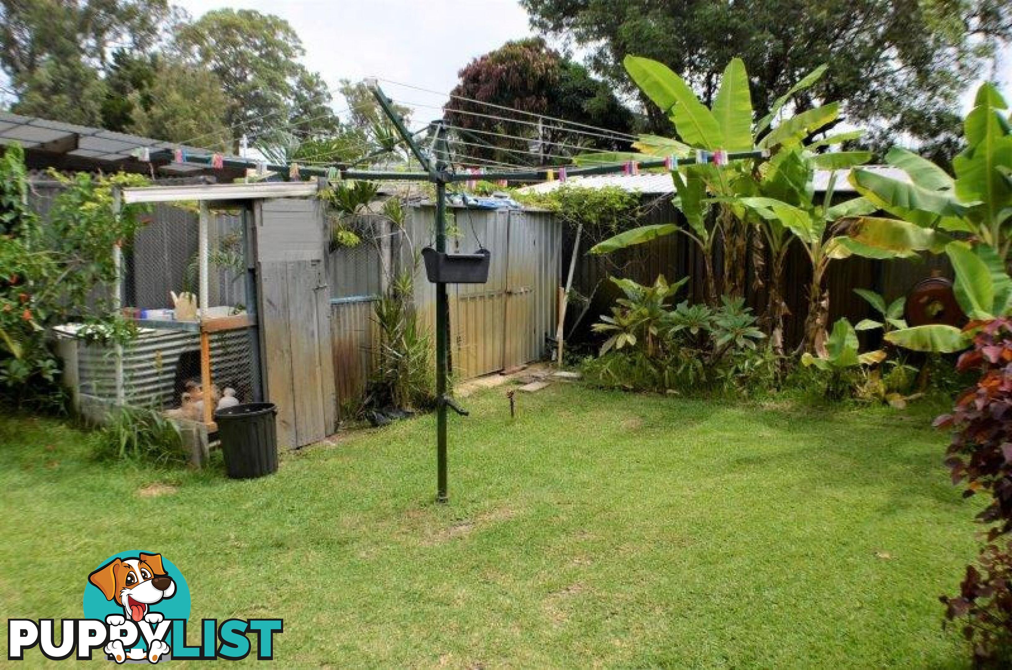 6 Goondool Street Kooringal qld 4025