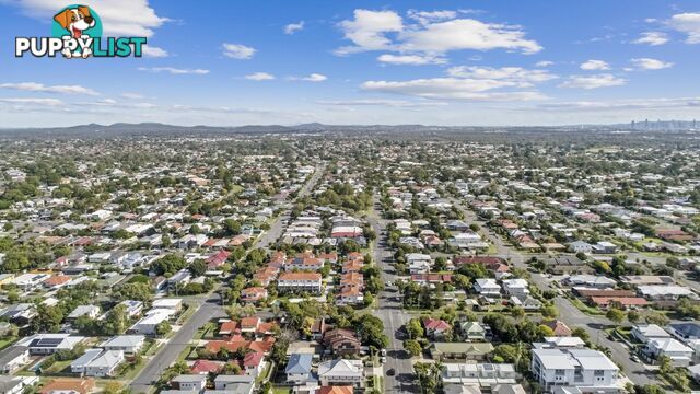 3 160 Pine Street Wynnum qld 4178