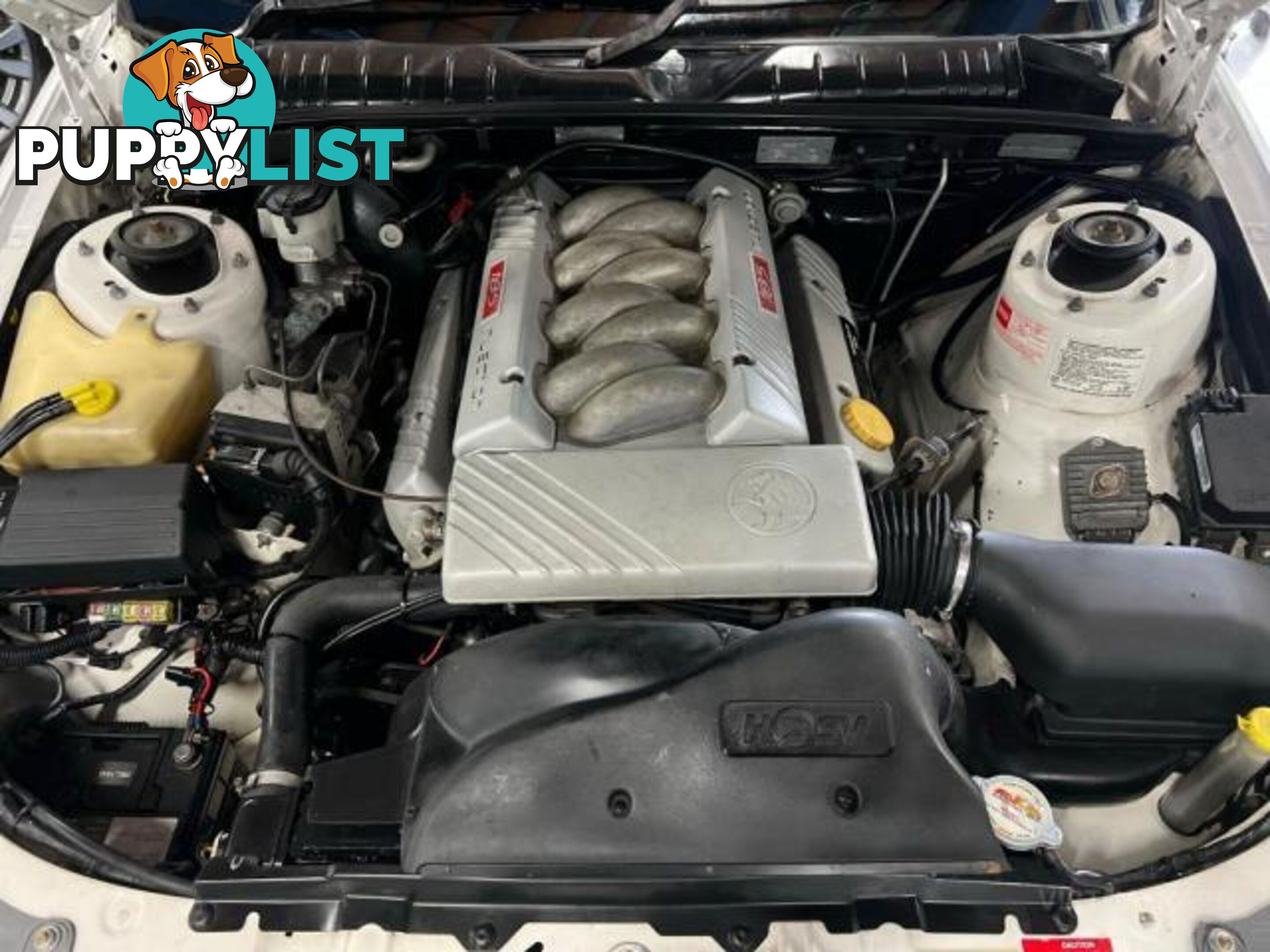1995 HOLDEN-SPECIAL-VEHICLES SENATOR VS 185I SEDAN 4DR AUTO 4SP 5.0I SEDAN