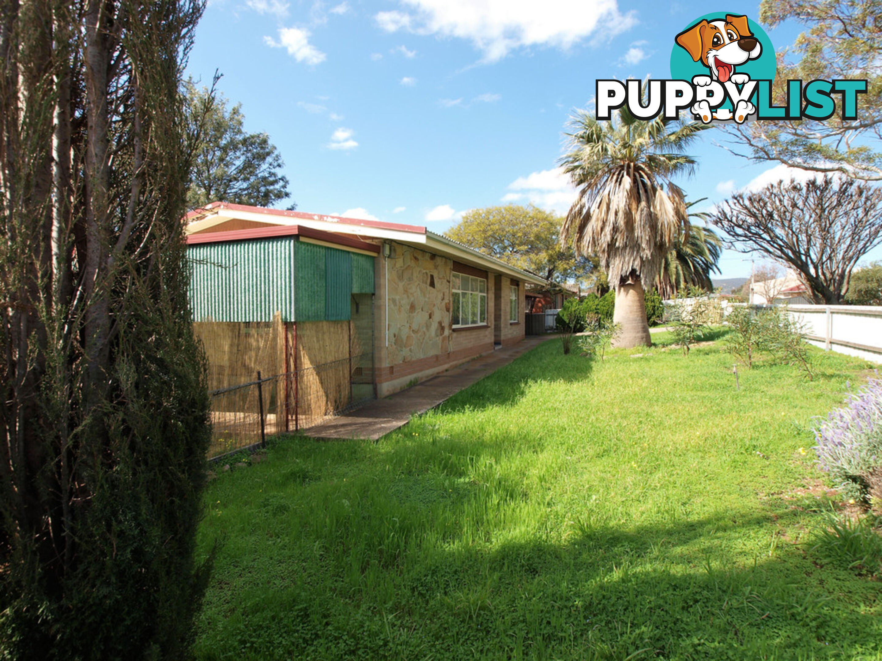 4 Alawa Avenue MODBURY NORTH SA 5092