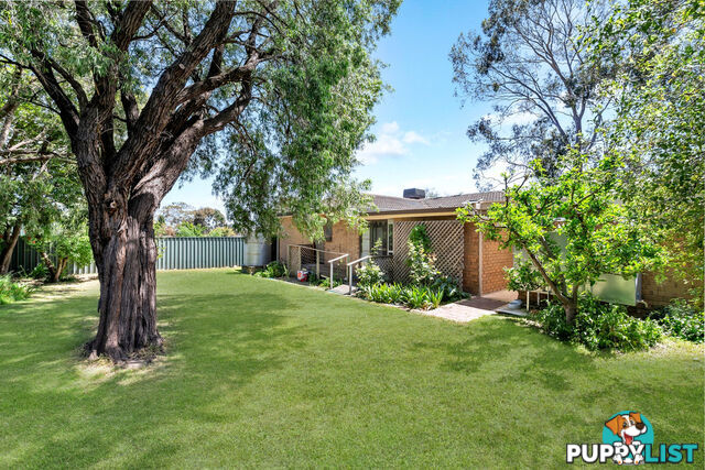 9 Walsh Street VISTA SA 5091