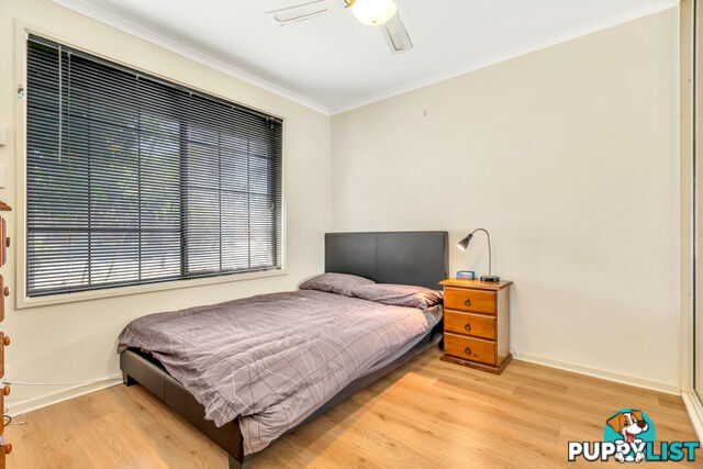 19 Pearson St PARAFIELD GARDENS SA 5107