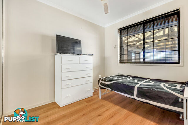 19 Pearson St PARAFIELD GARDENS SA 5107