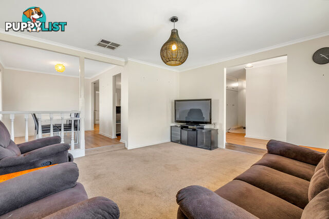 19 Pearson St PARAFIELD GARDENS SA 5107