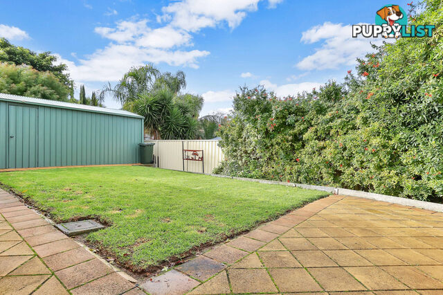 5 Wirilda Avenue SURREY DOWNS SA 5126