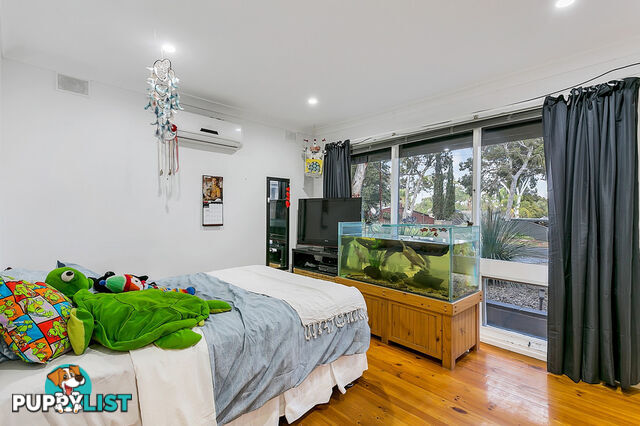 4 Nunyah BANKSIA PARK SA 5091