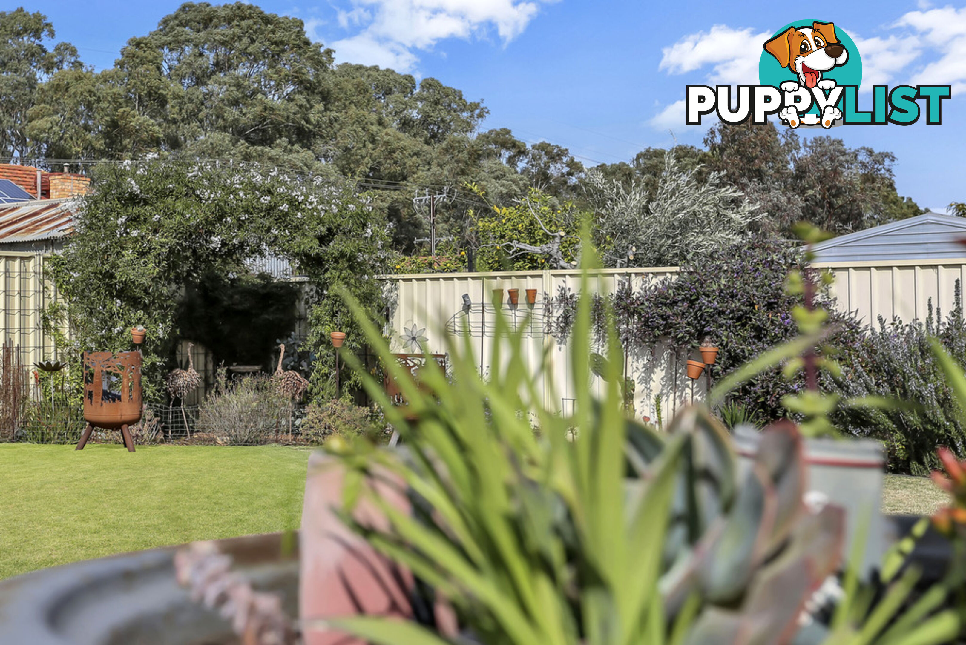 10E Luke Avenue SALISBURY DOWNS SA 5108