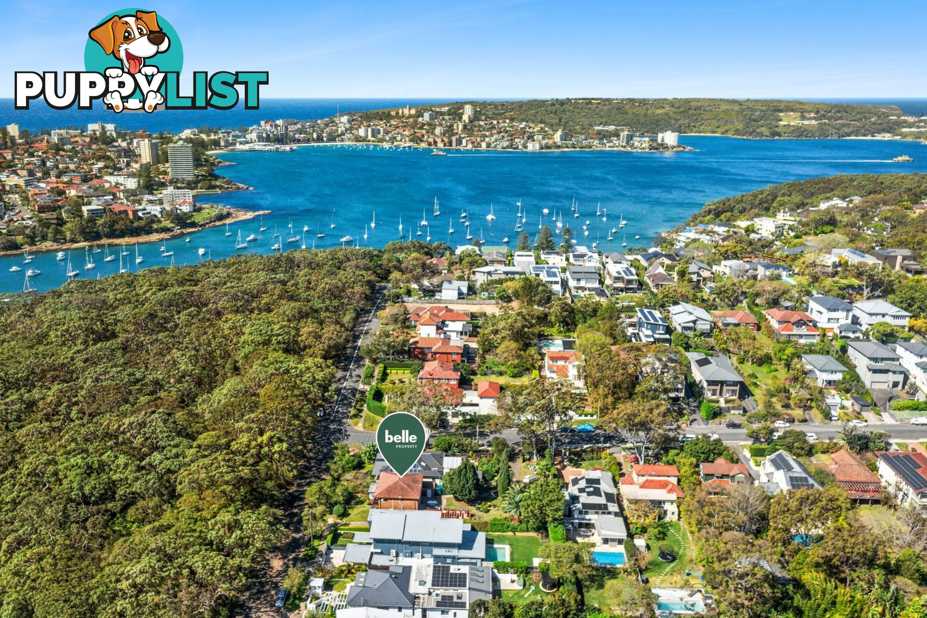 21 New Street East Balgowlah Heights NSW 2093