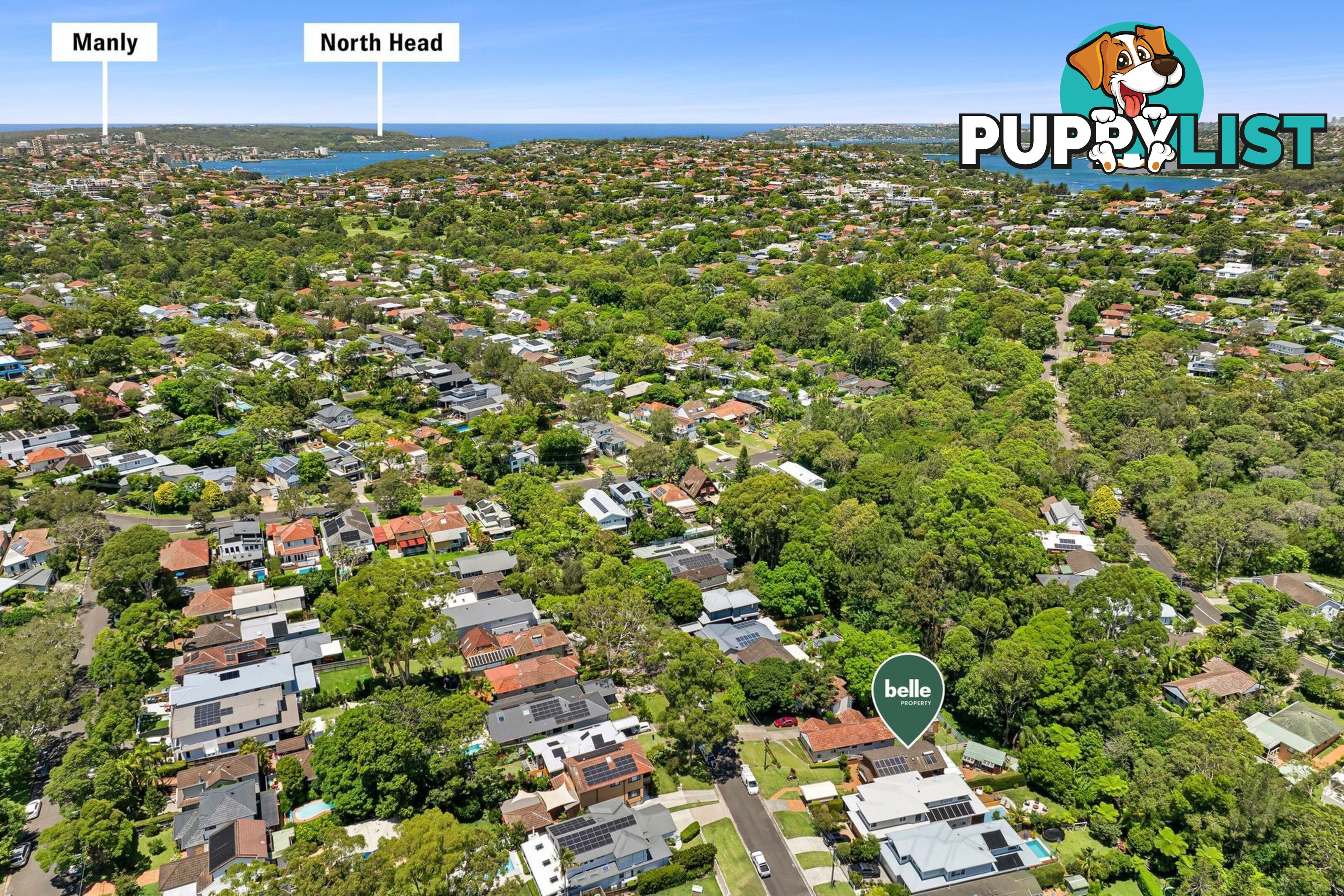 19 Burringbar Street North Balgowlah NSW 2093