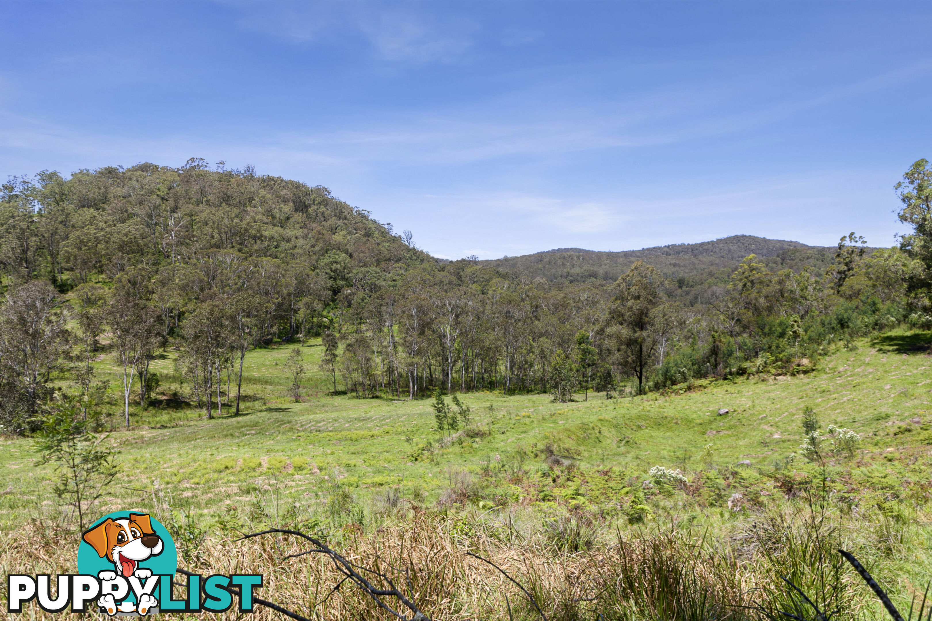 140 Upper Yango Creek Road Laguna NSW 2325