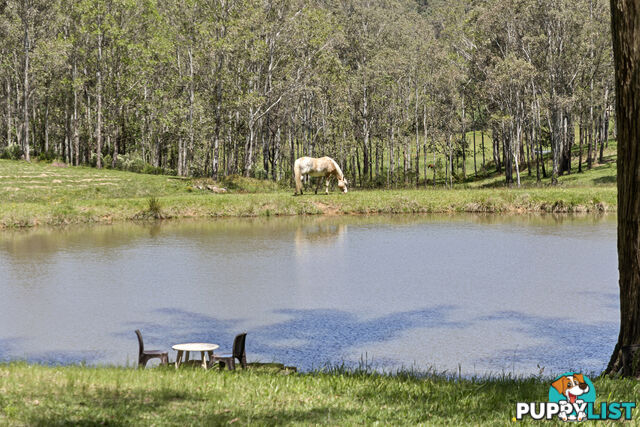 140 Upper Yango Creek Road Laguna NSW 2325