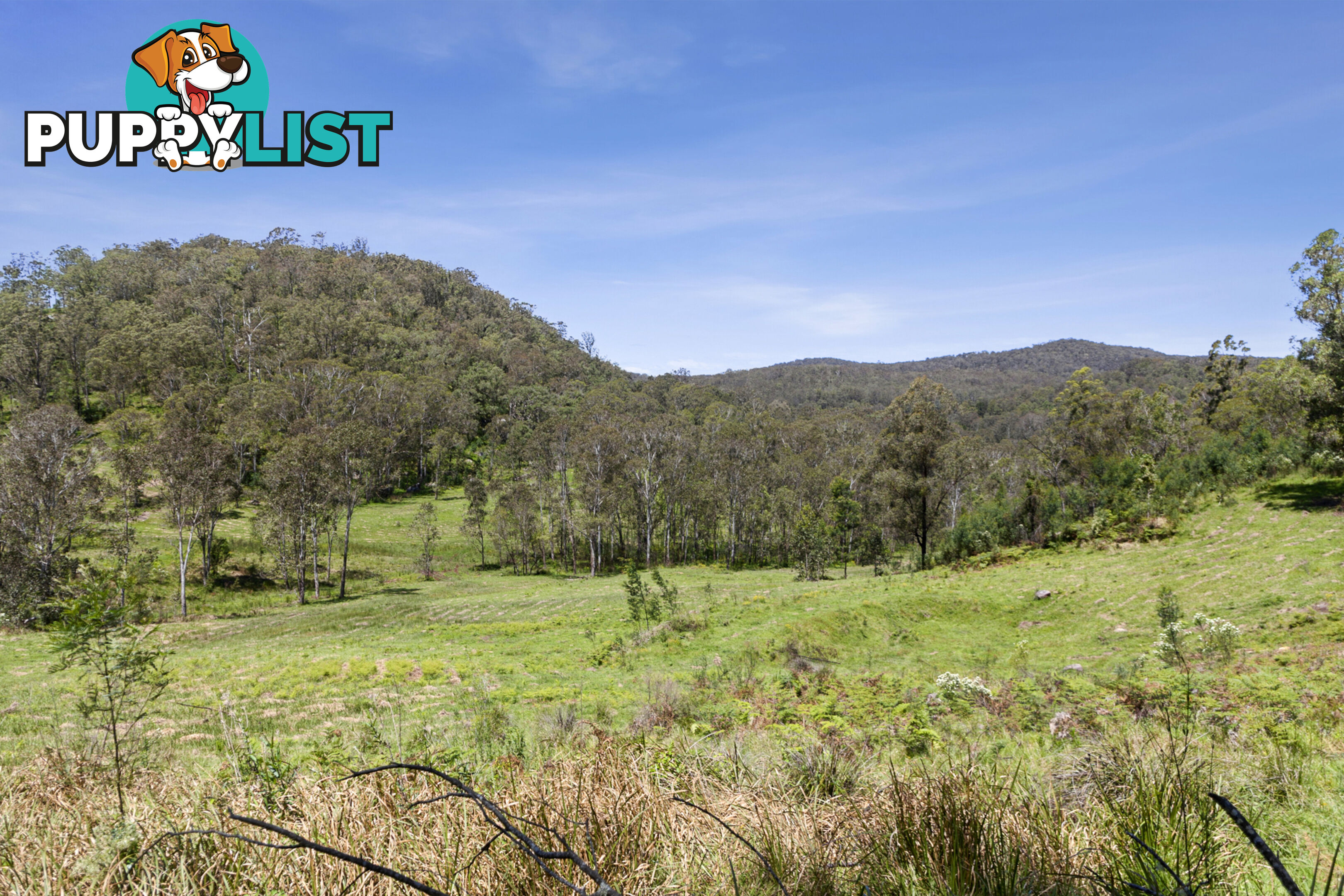 140 Upper Yango Creek Road Laguna NSW 2325