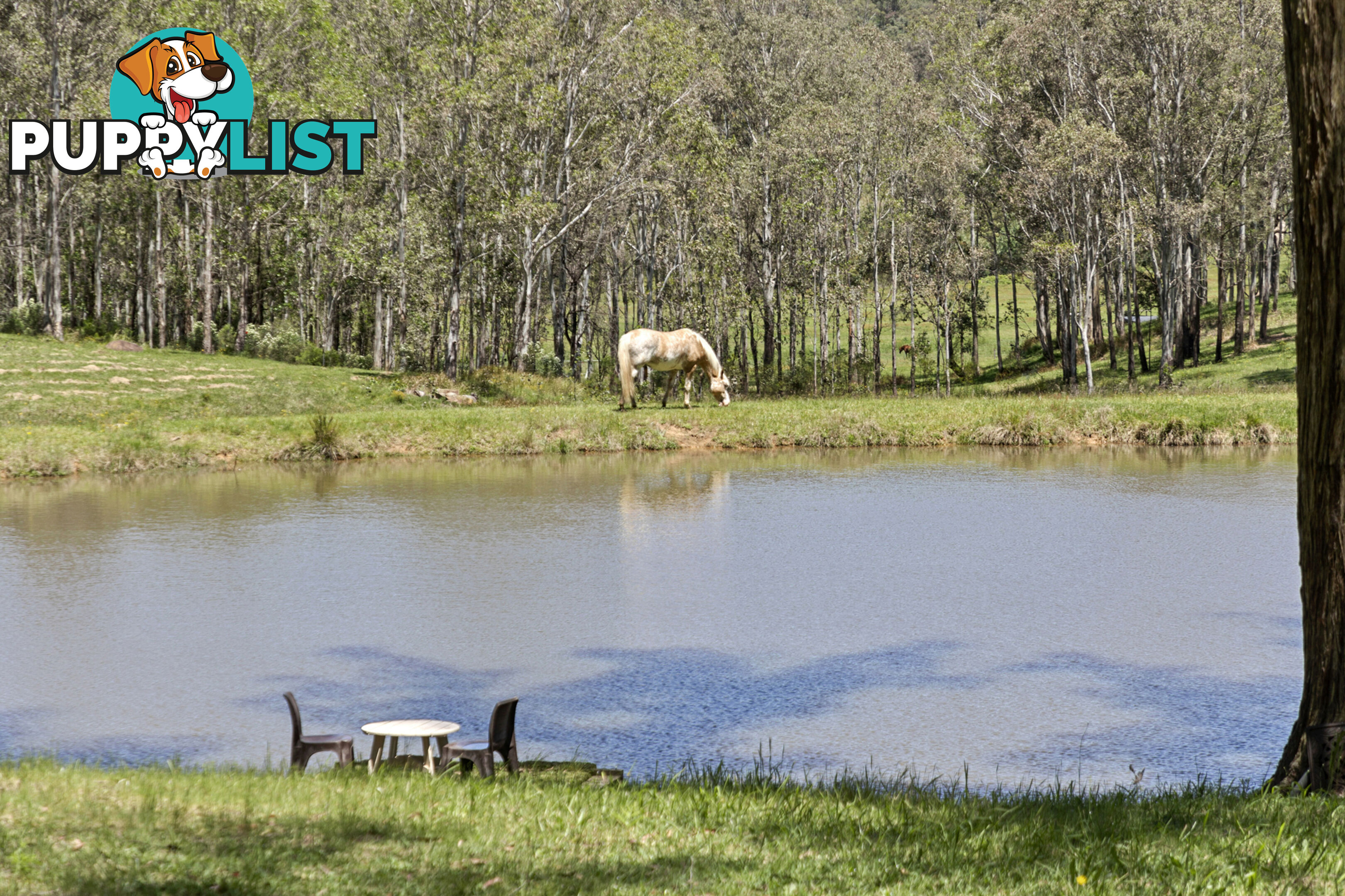 140 Upper Yango Creek Road Laguna NSW 2325