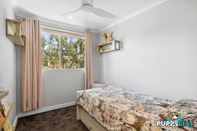 14/10-12 Robertson Street Narrabeen NSW 2101