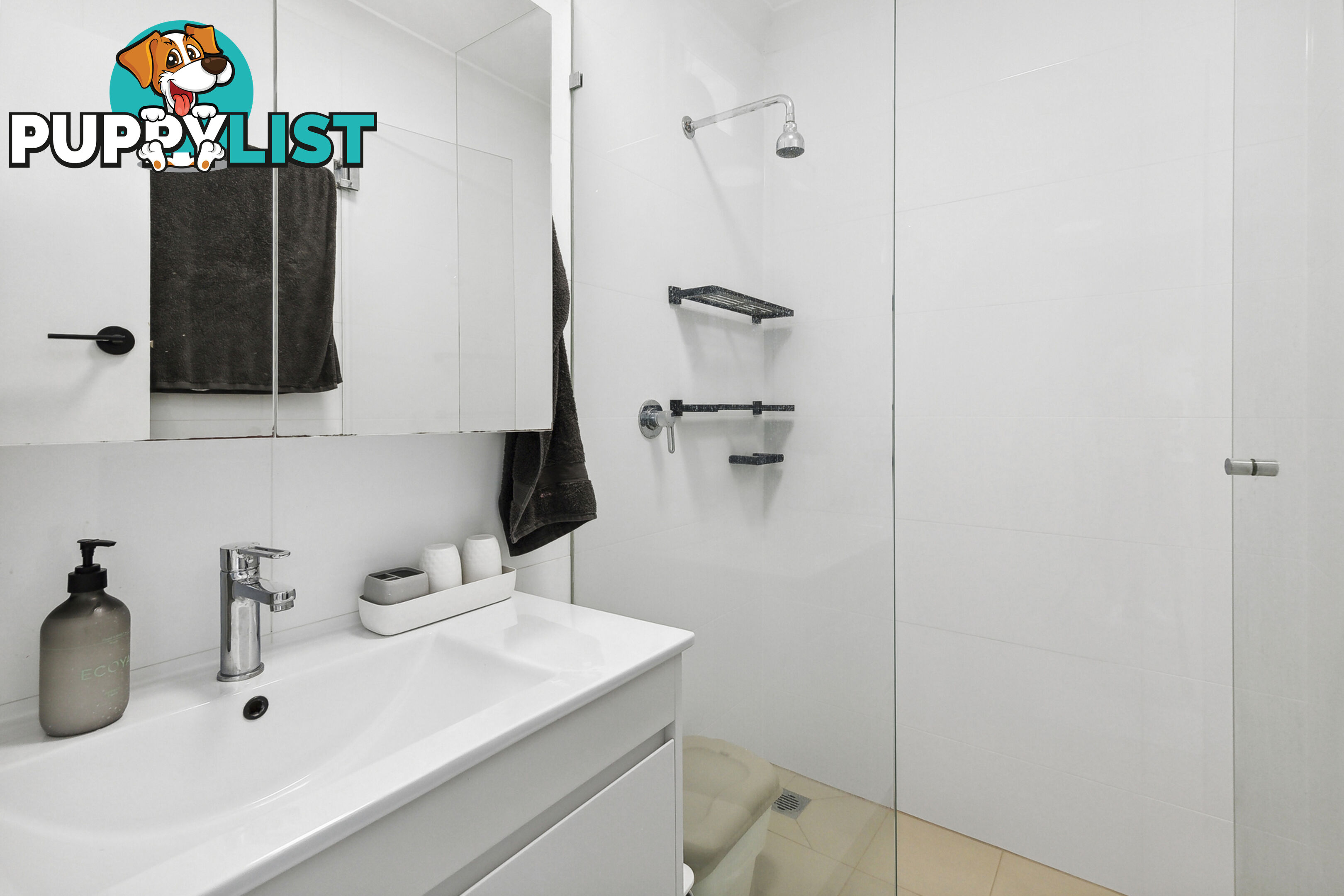 2/11B Rickard Street Balgowlah NSW 2093