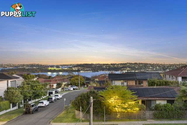 16 Abbott Street Balgowlah Heights NSW 2093