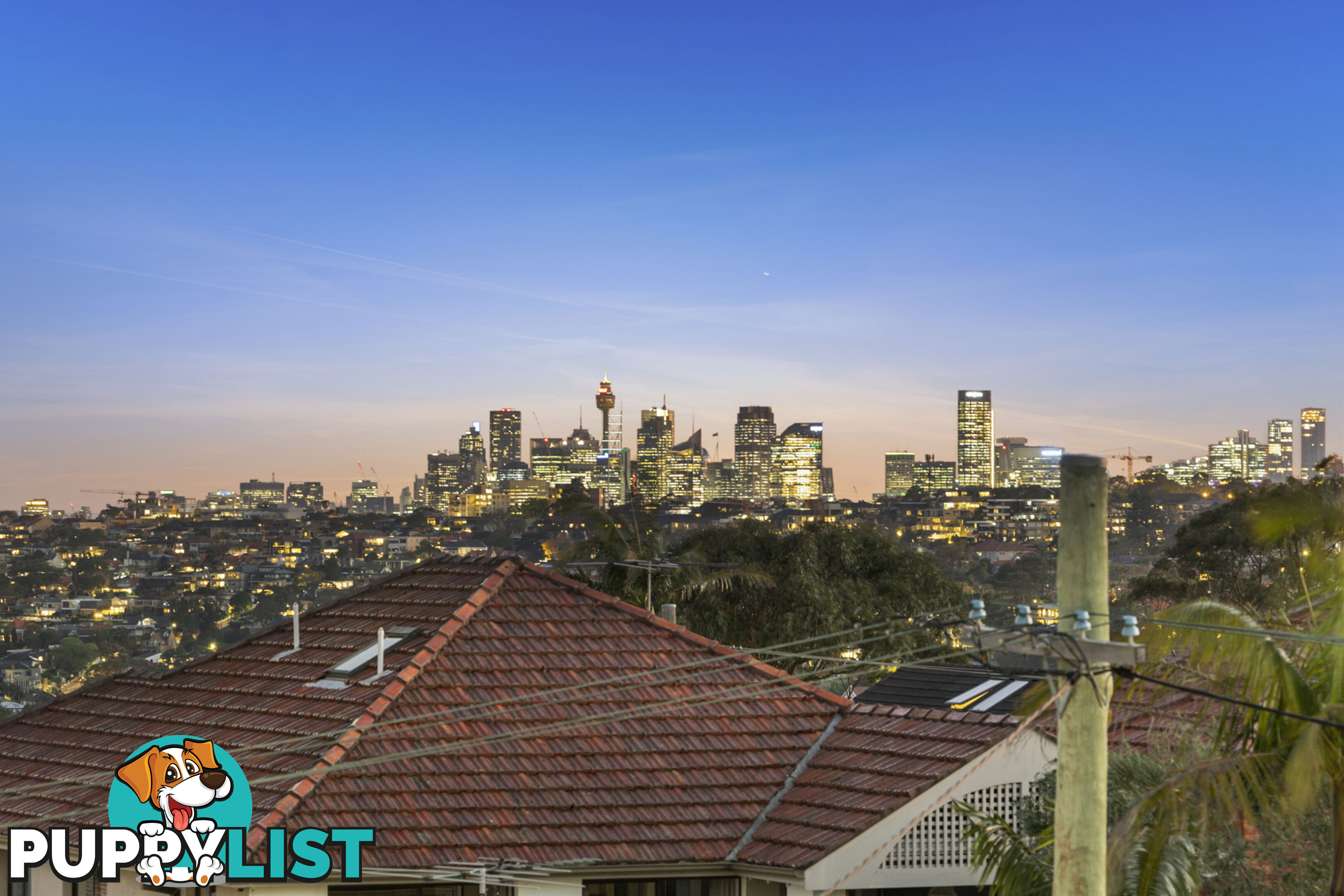 16 Abbott Street Balgowlah Heights NSW 2093