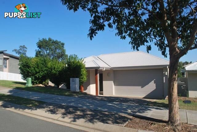 11 Esperance Crescent SPRINGFIELD LAKES QLD 4300