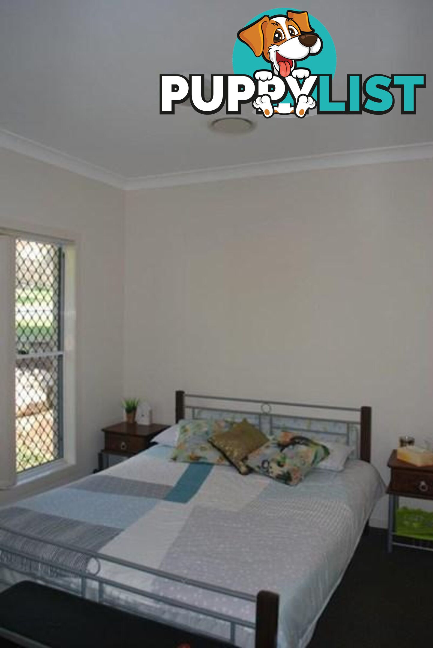 11 Esperance Crescent SPRINGFIELD LAKES QLD 4300