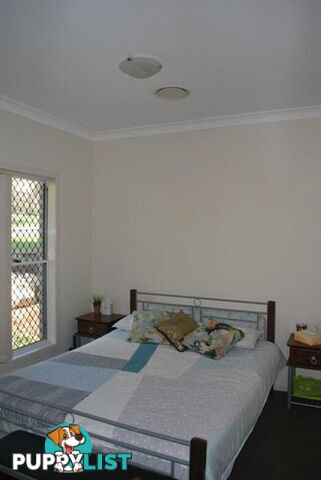 11 Esperance Crescent SPRINGFIELD LAKES QLD 4300