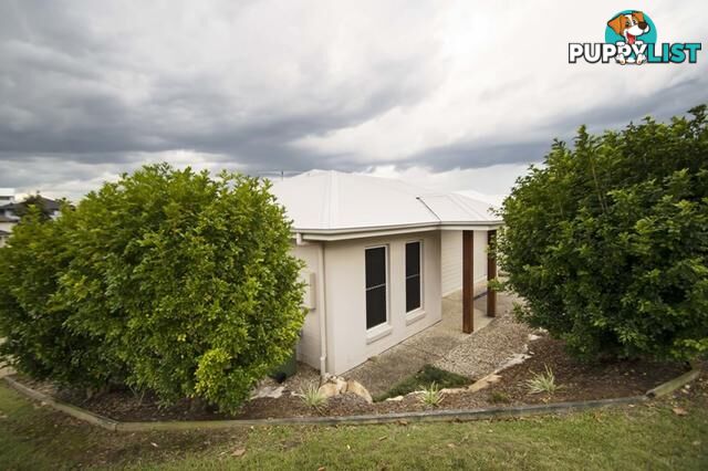 11 Esperance Crescent SPRINGFIELD LAKES QLD 4300