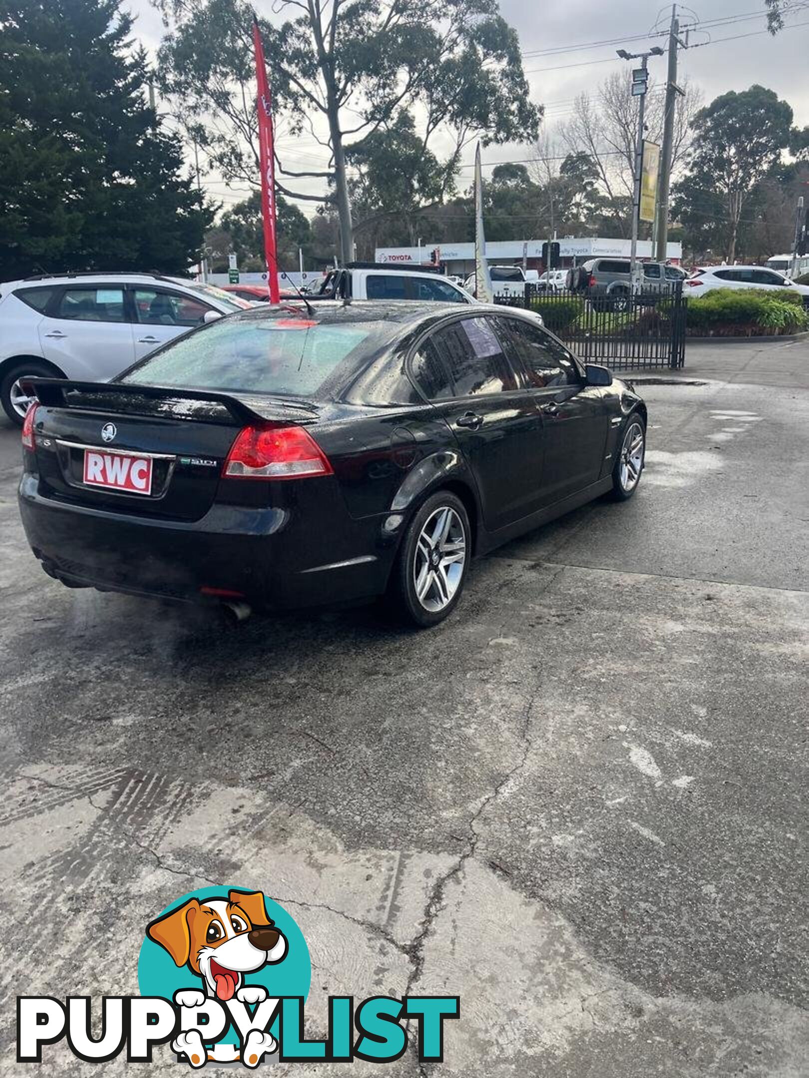 2010 HOLDEN COMMODORE SV6 VE SERIES II SEDAN