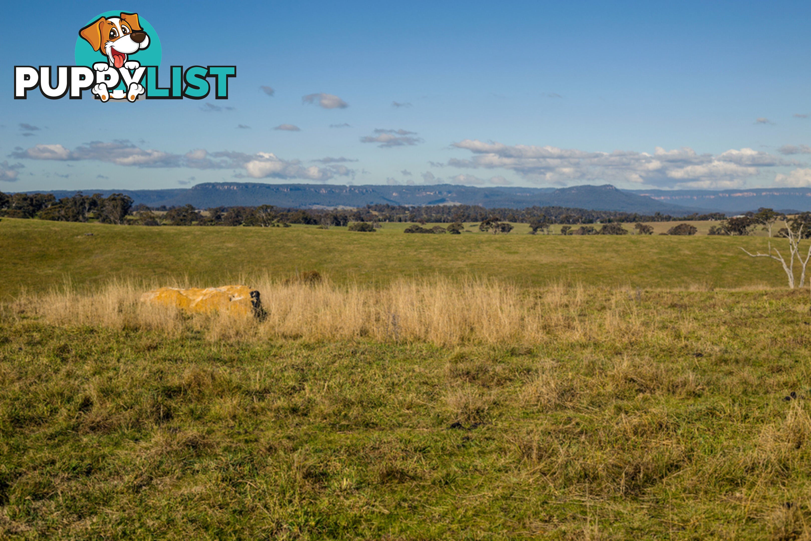 Lot 3 Governor Gipps Road SOUTH BOWENFELS NSW 2790