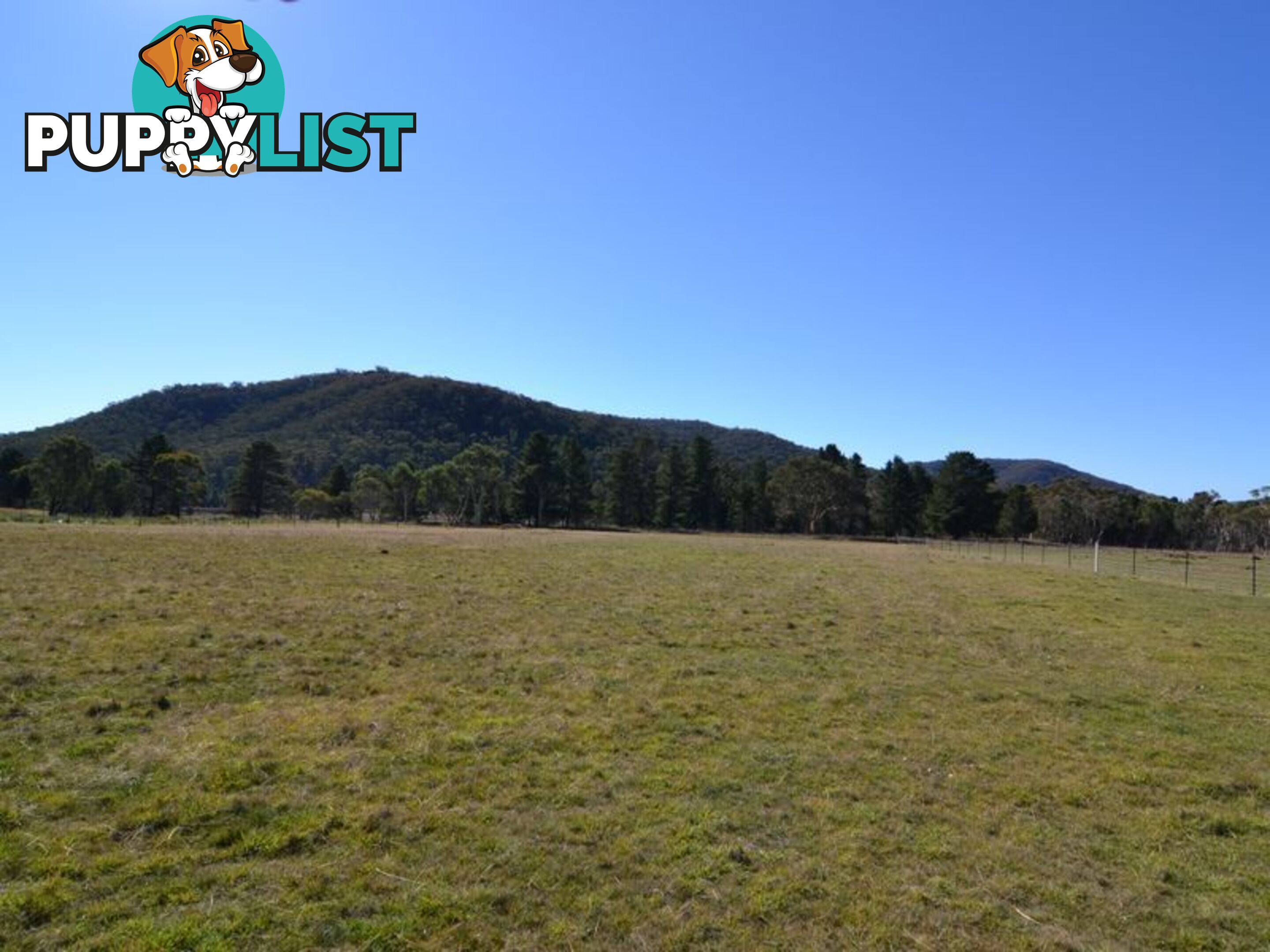 Lot 2 View Street LIDSDALE NSW 2790