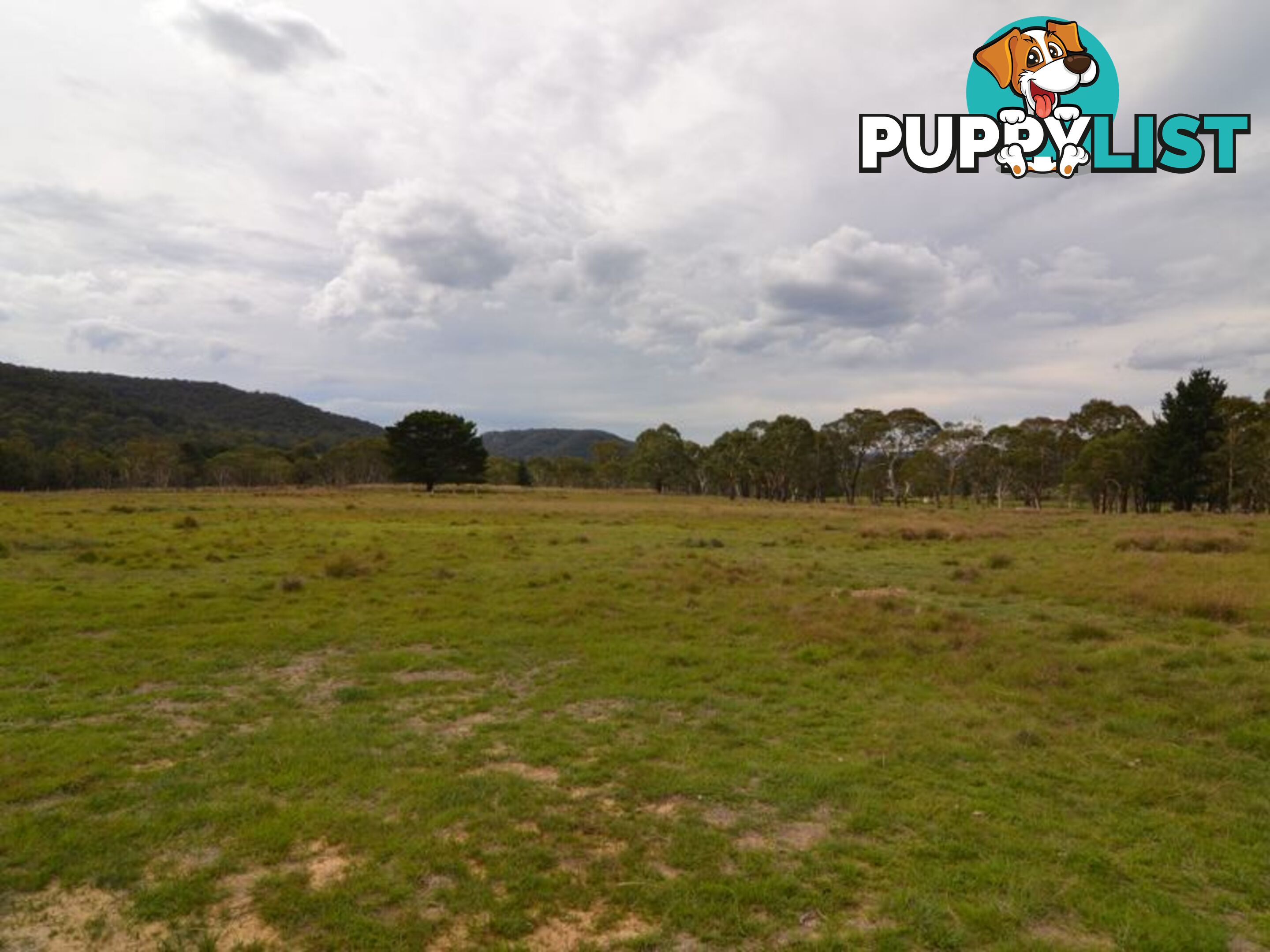 Lot 2 View Street LIDSDALE NSW 2790