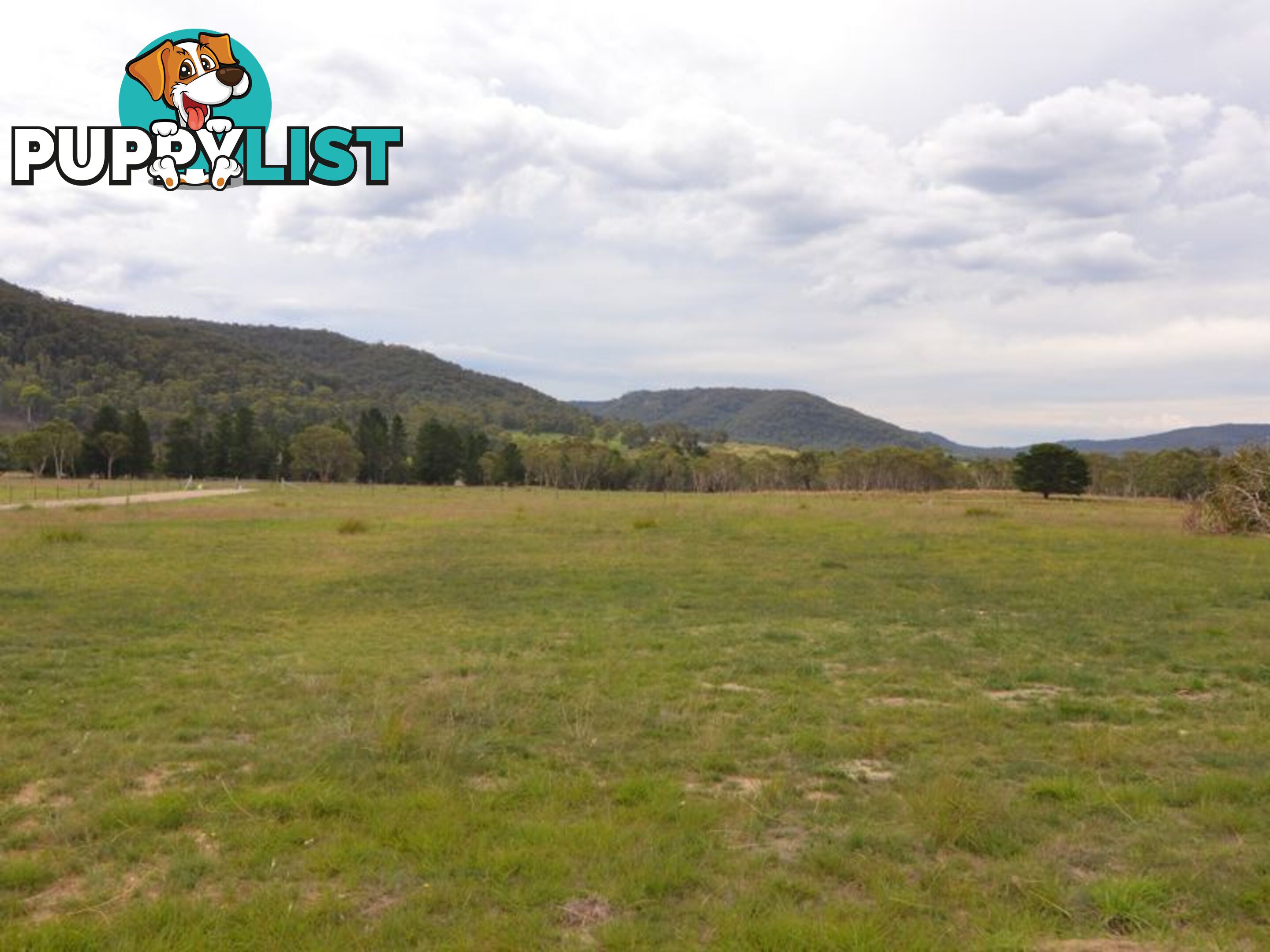 Lot 2 View Street LIDSDALE NSW 2790