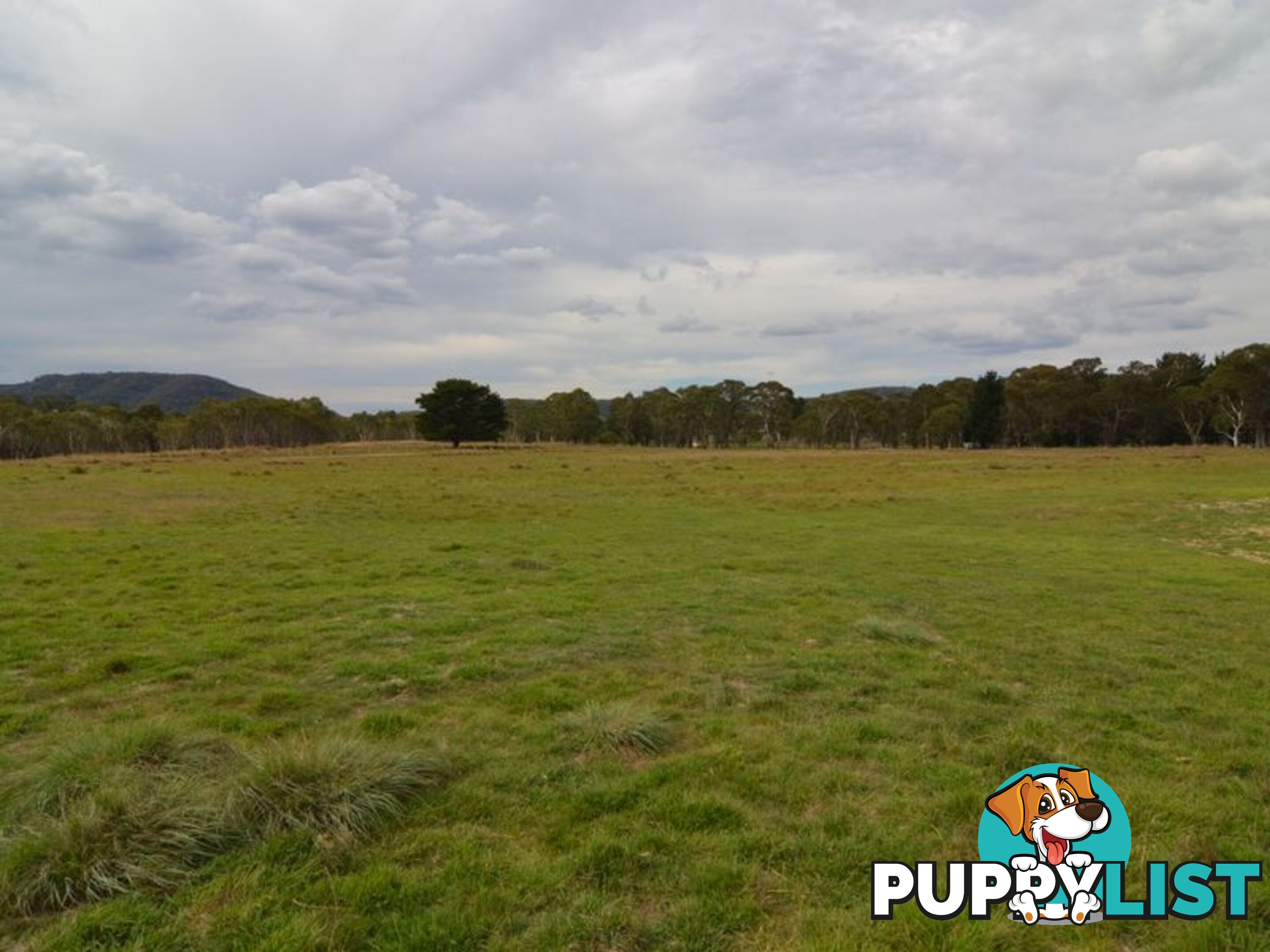 Lot 2 View Street LIDSDALE NSW 2790