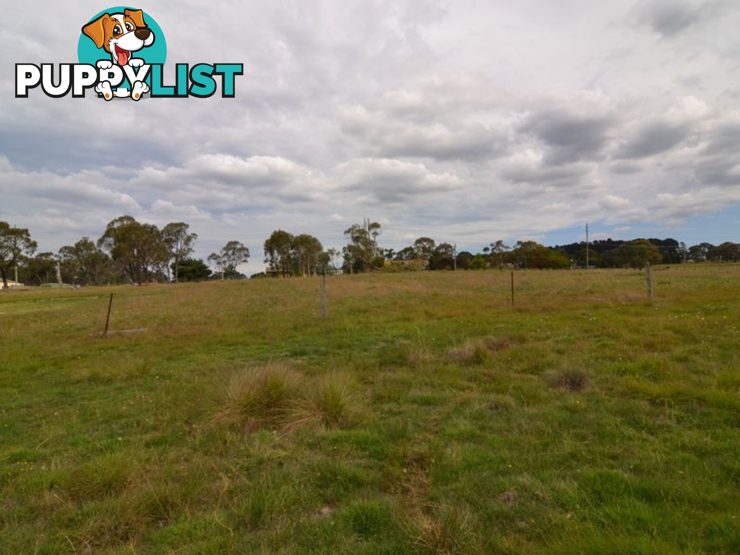 Lot 2 View Street LIDSDALE NSW 2790