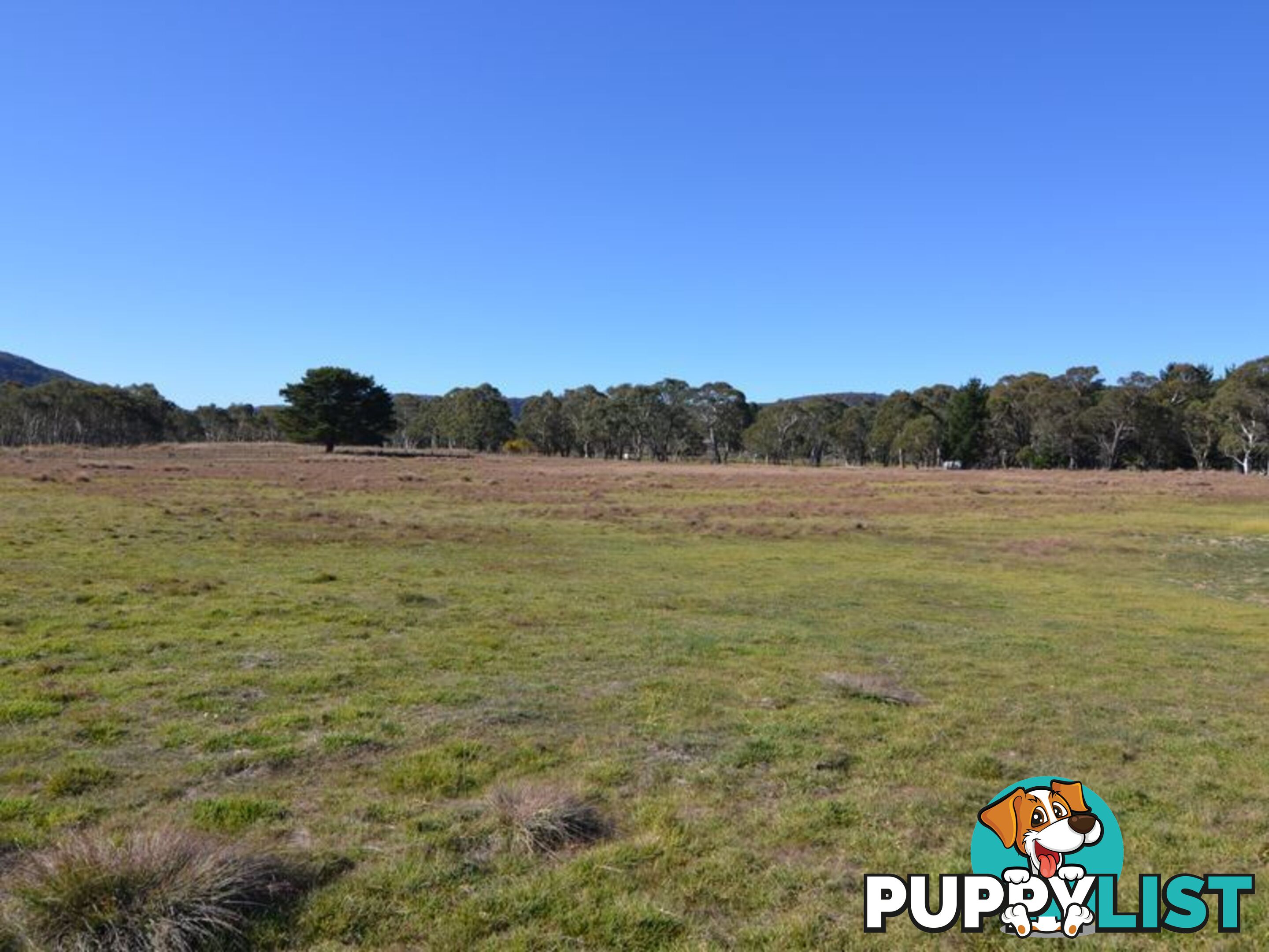 Lot 2 View Street LIDSDALE NSW 2790