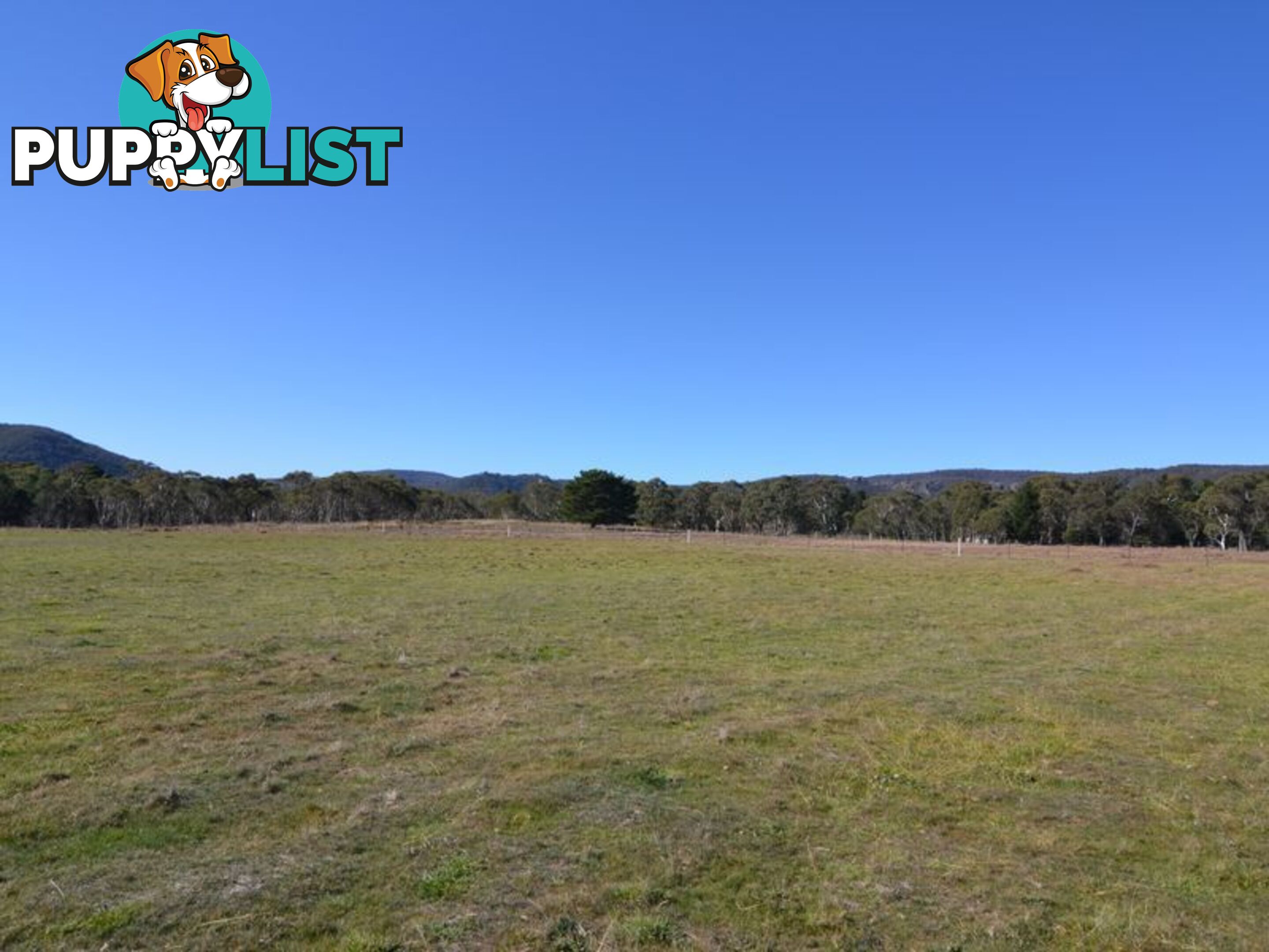 Lot 2 View Street LIDSDALE NSW 2790