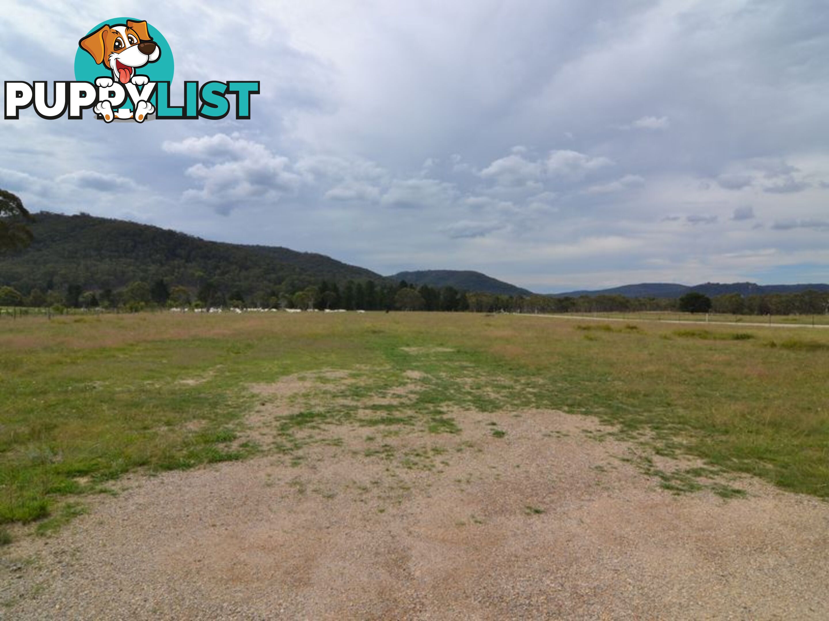 Lot 2 View Street LIDSDALE NSW 2790