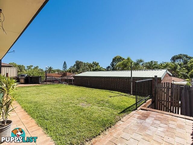 25 Corriedale Place THORNLIE WA 6108