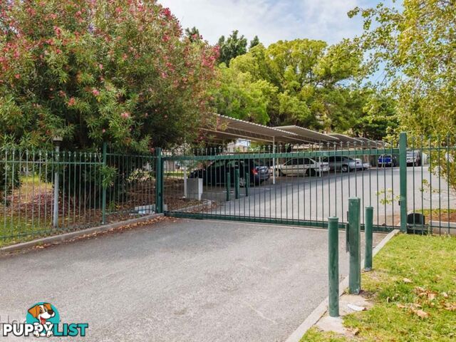 50/8 Kathleen Avenue MAYLANDS WA 6051