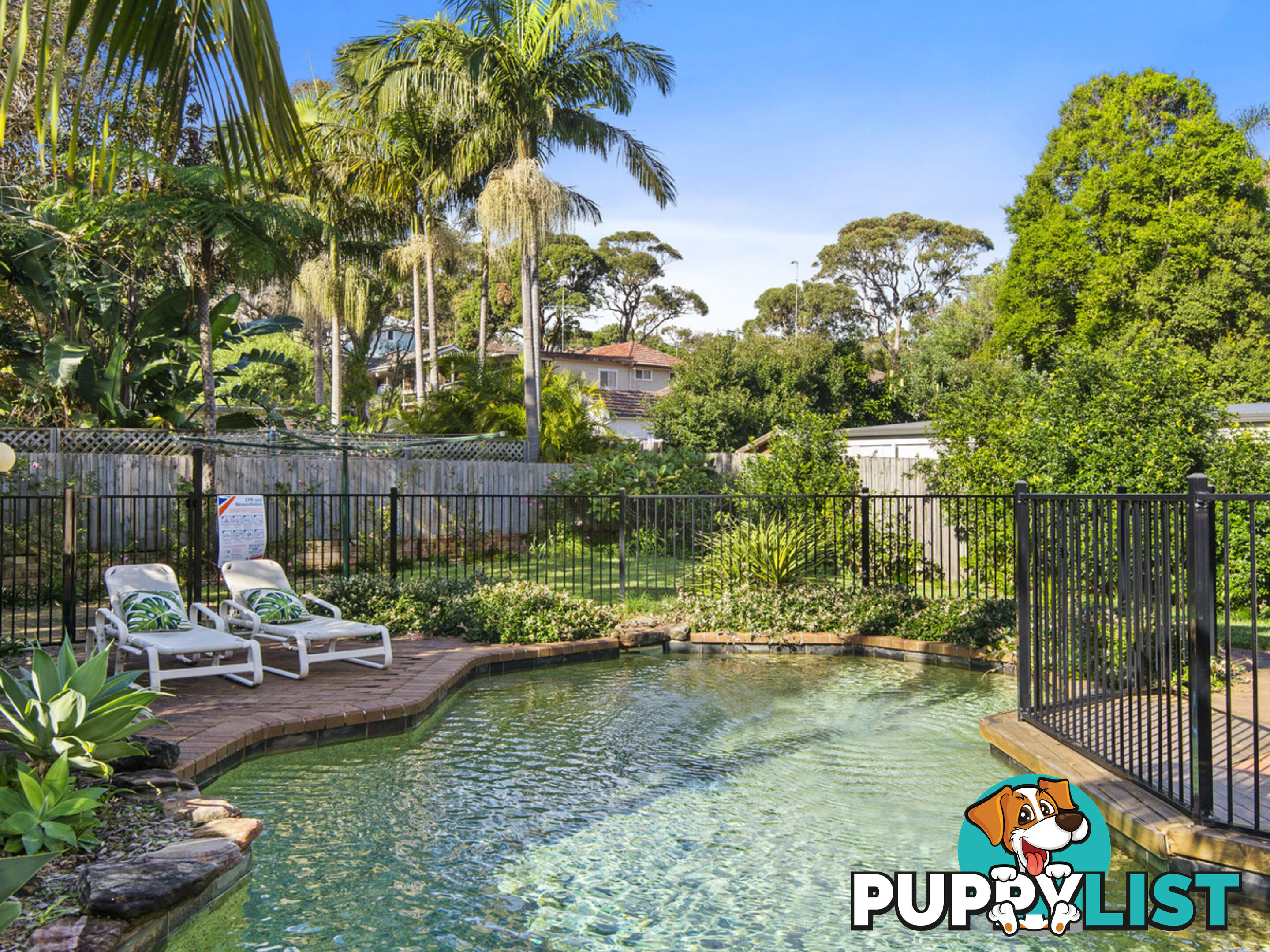 43 Myola Road NEWPORT NSW 2106