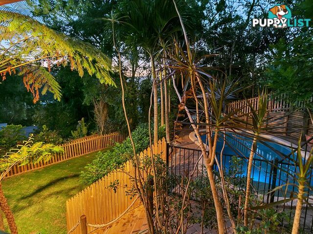 33 Lookout Terrace TRINITY BEACH QLD 4879