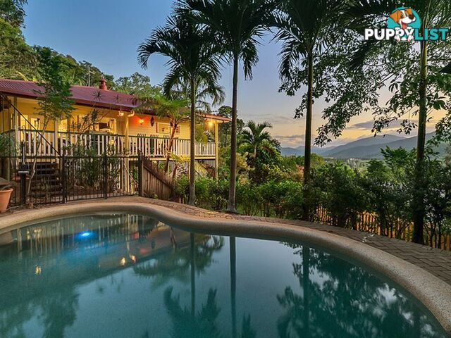 33 Lookout Terrace TRINITY BEACH QLD 4879