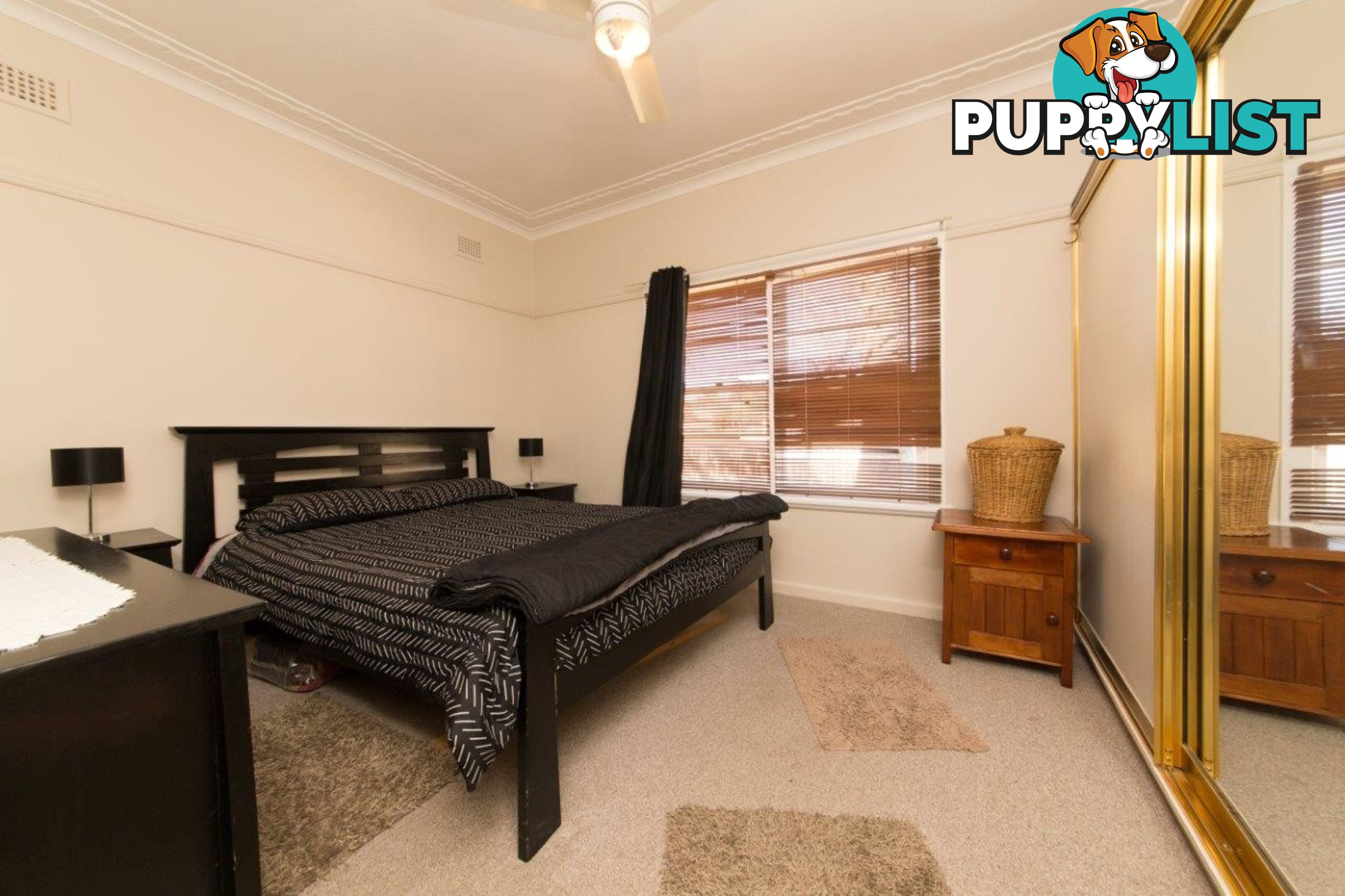 3 Healey St DUBBO NSW 2830